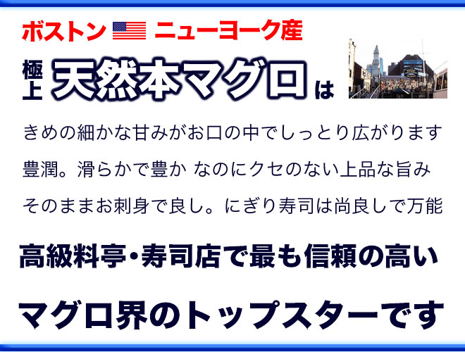 きめの細やかな甘みがお口の中でしっとりとひらがります。一言でいえば豊潤。滑らかで豊かな味わい、なのにクセのない上品なのど越しはそのままお刺身で良し、にぎり寿司は尚良しと万能なお刺身です。プロの評価で見るとボストン・ニューヨーク産の極上天然本マグロは高級寿司店・高級料亭で最も信頼の高いマグロ界のトップスターです。