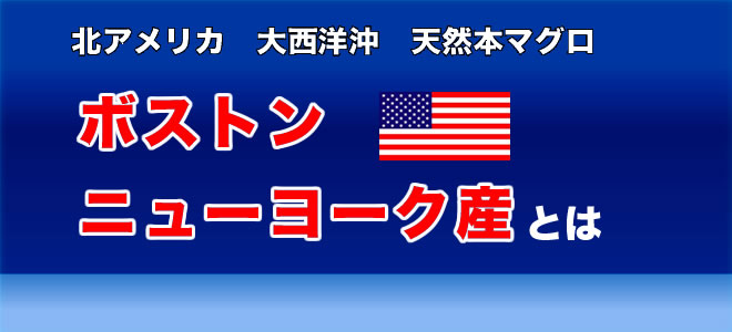 北アメリカ　大西洋沖　天然本マグロ　ボストン、ニューヨーク産とは