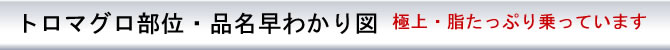g}O̕ʕi킩}